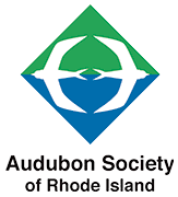 Audubon: Owls Of Rhode Island
